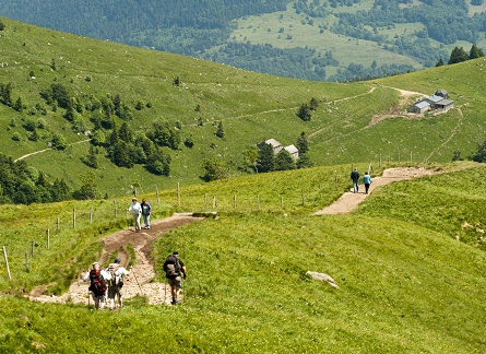 La Route du Fromage à pied